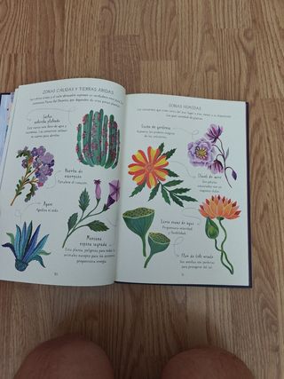 La sociedad de los unicornios mágicos