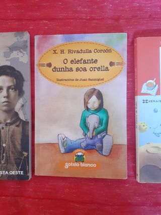 Pack libros en gallego ( primaria )
