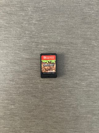 Minecraft Nintendo Switch