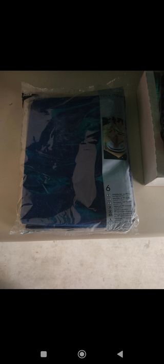 6 Manteles azules 