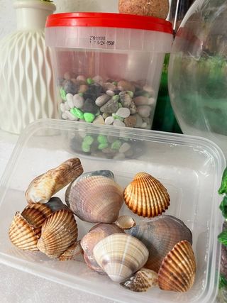 Mini pecera + decoración