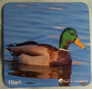 4 posavasos aves Port de Tarragona