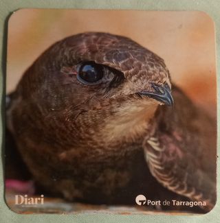 4 posavasos aves Port de Tarragona