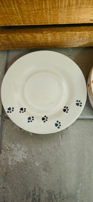 6 tazzine fatte a mano con animali