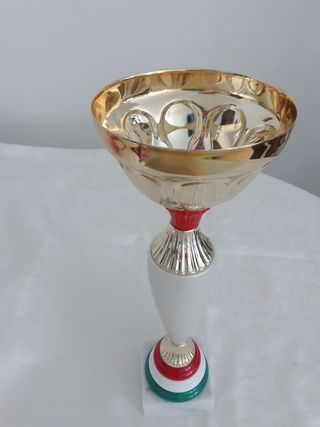 Coppa trofeo Italia colore bandiera italia