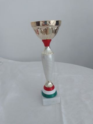 Coppa trofeo Italia colore bandiera italia