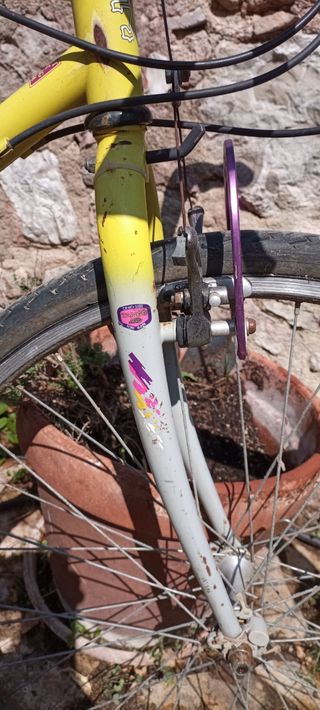 Bicicleta Peugeot typhoon montaña vintage