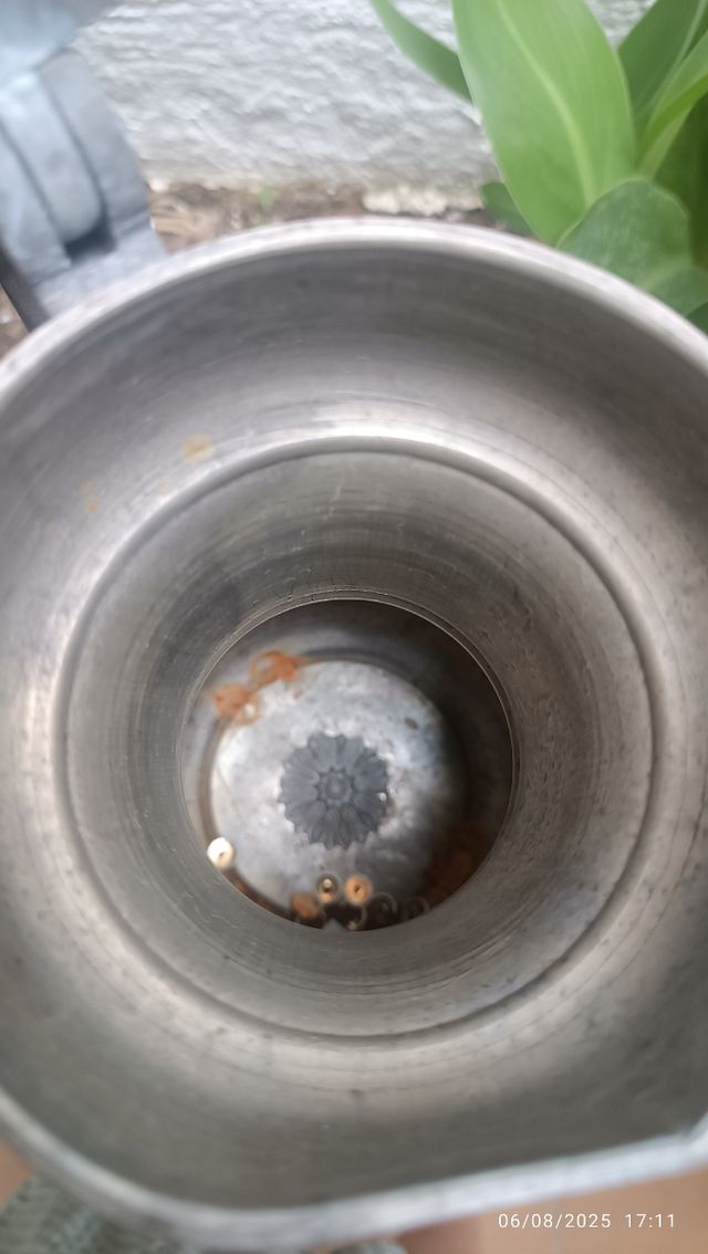 Caraffe svizzere in peltro Molto ben conservato