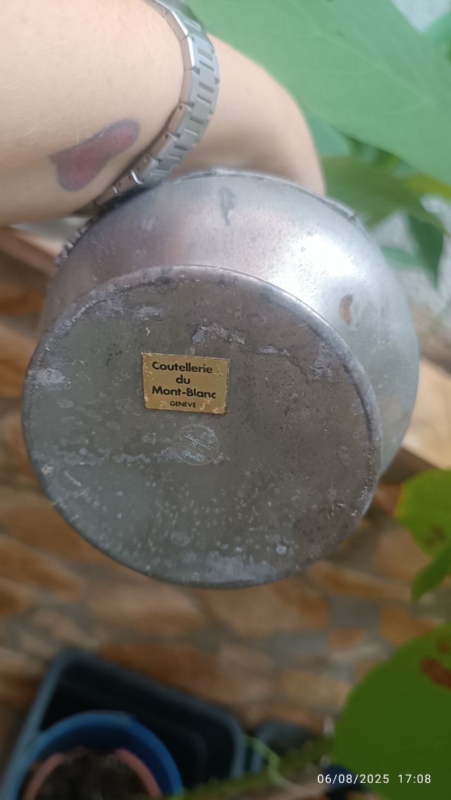 Caraffe svizzere in peltro Molto ben conservato