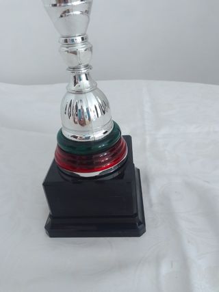 Coppa trofeo argento