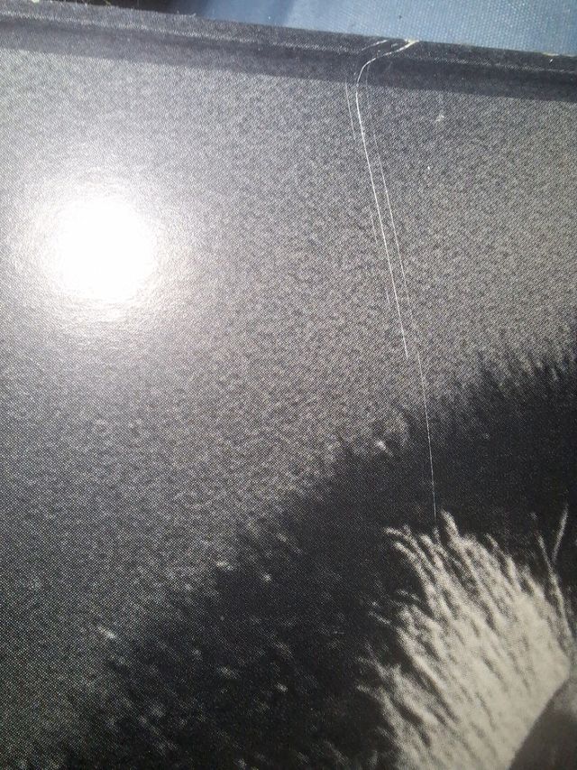 Cuadro cebras blanco y negro