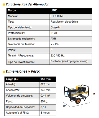 Gerador AY-6000 KT AVR - 5418070