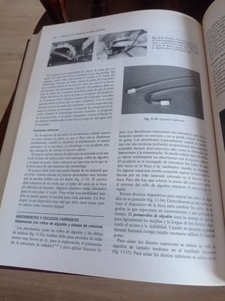 Operatoria Dental: Arte y Ciencia (Spanish Edit...