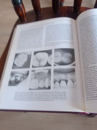 Operatoria Dental: Arte y Ciencia (Spanish Edit...
