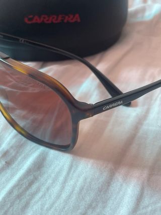 Gafas Carrera - Marrón