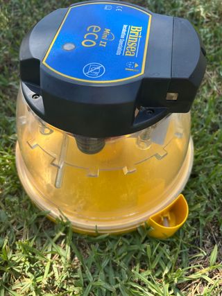 Brinsea Mini Eco Incubadora