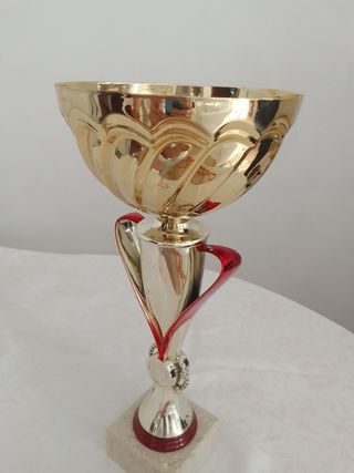 Coppa trofeo oro | premio