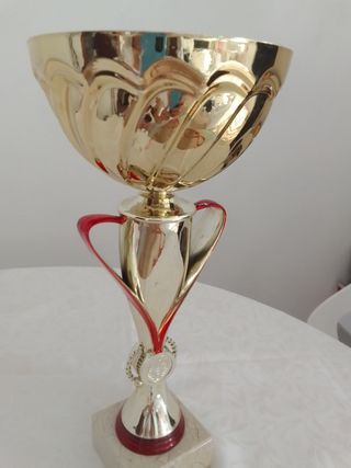Coppa trofeo oro | premio