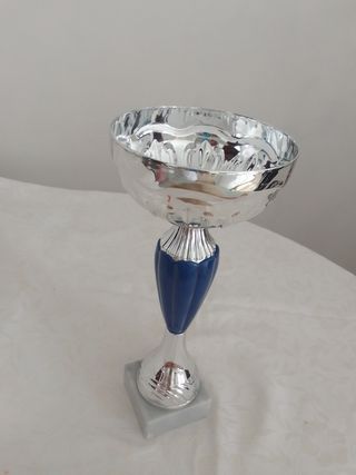 Trofeo sportivo argento e blu