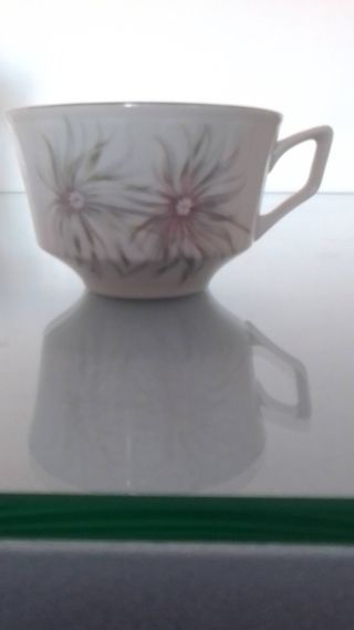 Cafetera Pontesa con 2 tazas