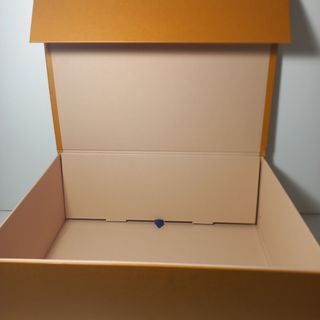 Caja Louis Vuitton