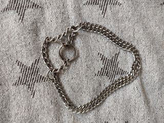 Cadena de perro plata