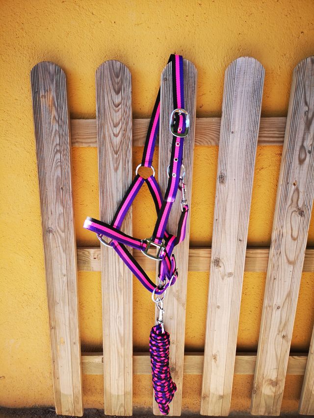 CABEZADA DE CUADRA FLUOR + RAMAL NUEVA ENVIO HORSE