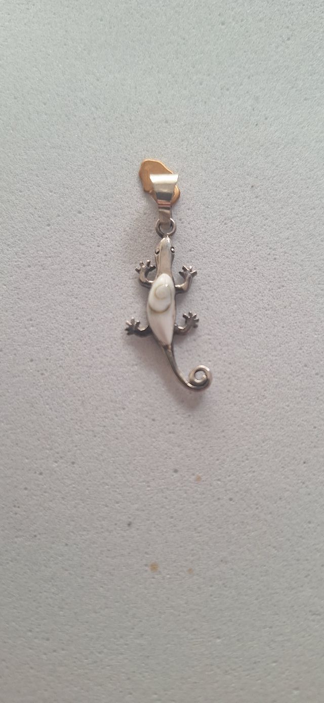 33667 Colgante Lagarto fósil