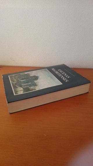 "Escenas matritenses"