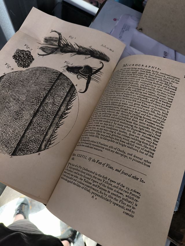 Micrographia de Robert Hooke (réplica exacta)
