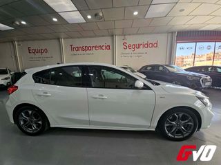 Ford Focus 2.0 ECOBLUE 150CV ST-LINE AUTO 