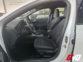 Ford Focus 2.0 ECOBLUE 150CV ST-LINE AUTO 