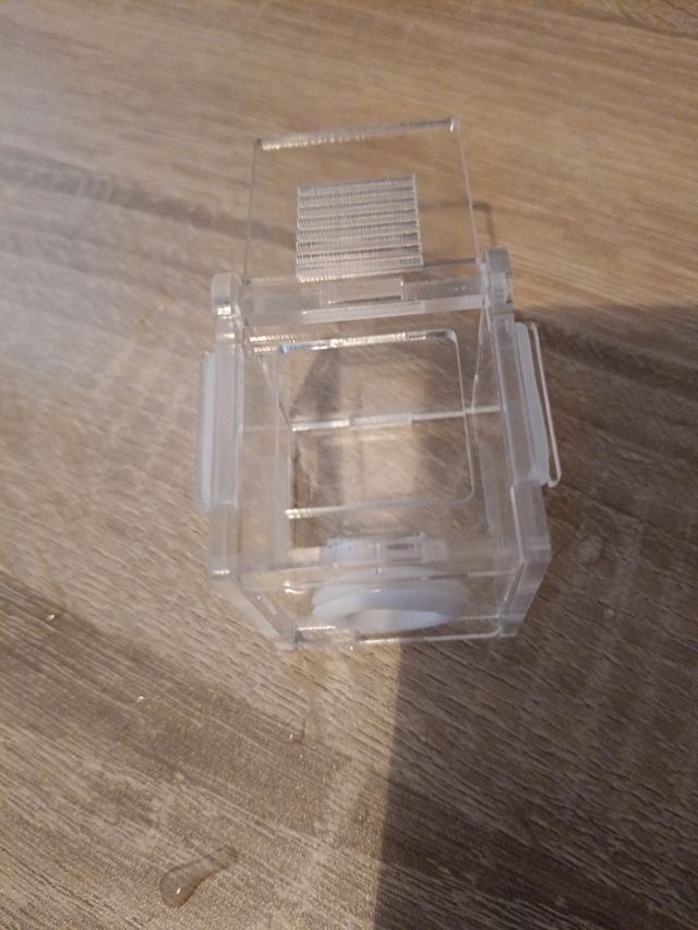 Caja alimentación reina 2x1