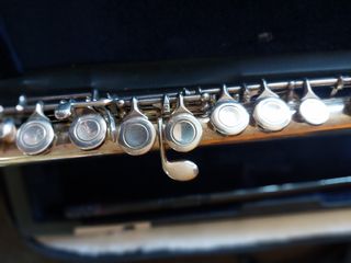 Flauta travesera Roy Benson FL-402E Platos cerrado