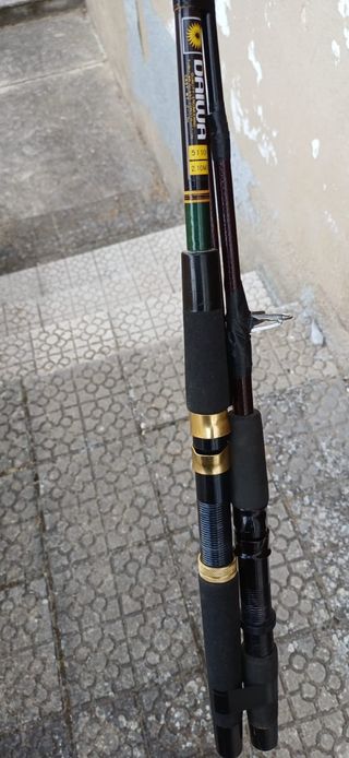 Lote de Cañas de pescar Evia, Kali y Daiwa.