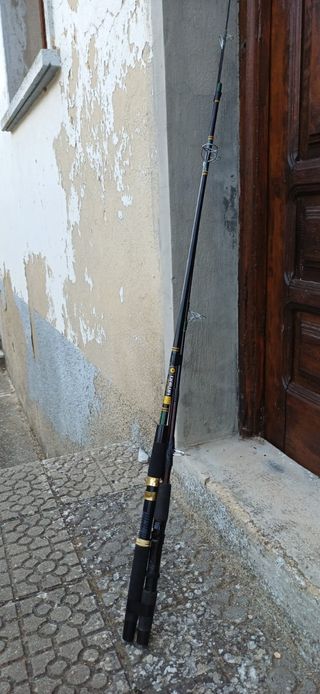 Lote de Cañas de pescar Evia, Kali y Daiwa.