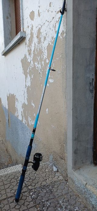 Lote de Cañas de pescar Evia, Kali y Daiwa.