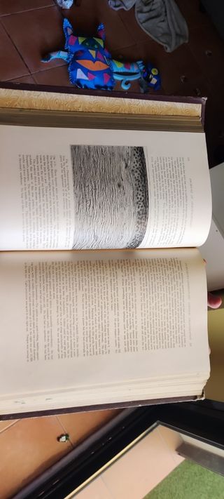Archives of Ophthalmology 1948