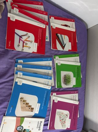 Libros 5 primaria SANTILLANA