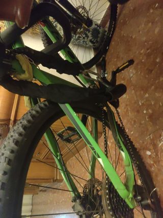 Bicicleta Orbea montaña verde