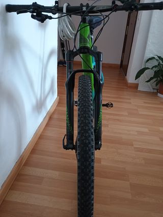 Orbea Alma Mtb Carbono