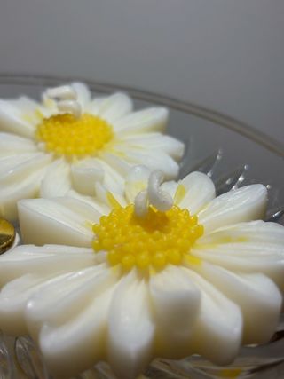 Candele Margherite Cera Soia profumata