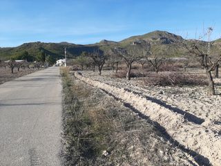 Finca rústica almendros