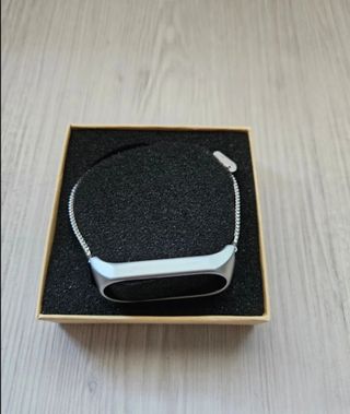 Pulsera Mi Band 4 + Correa Plateada