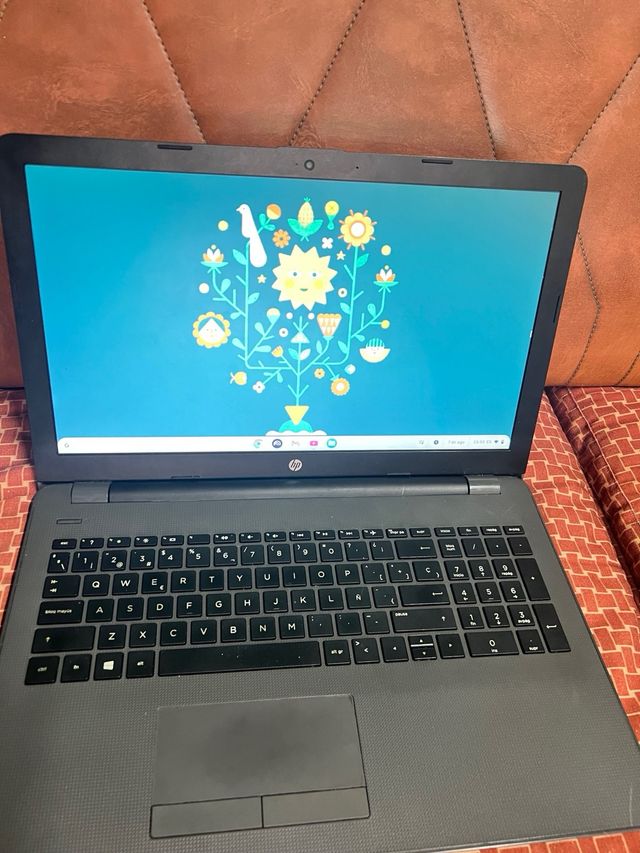 Portátil HP 256 G6 15.6" LED