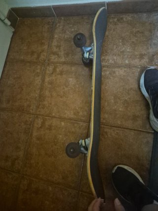Skate Globe - Completo
