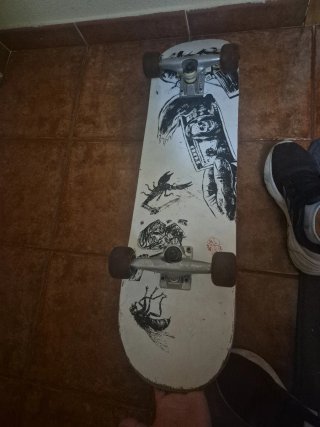 Skate Globe - Completo