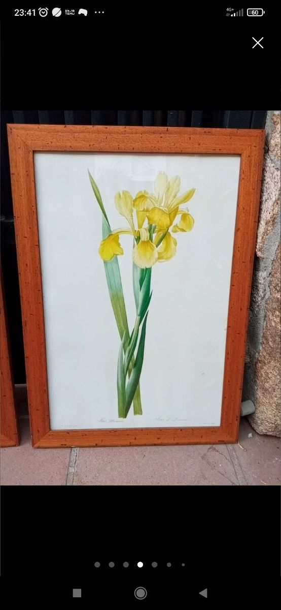 2 gigli gialli Cuadros