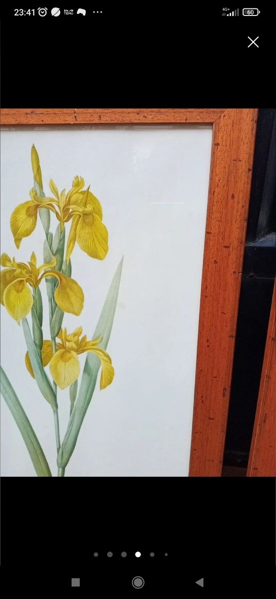 2 gigli gialli Cuadros