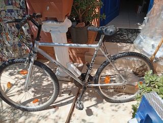 Bicicleta montaña adulto